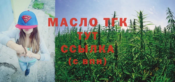 spice Богородск