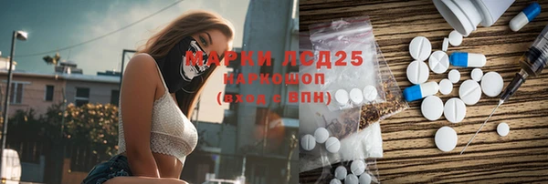 ECSTASY Богородицк