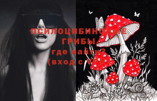 ECSTASY Богородицк