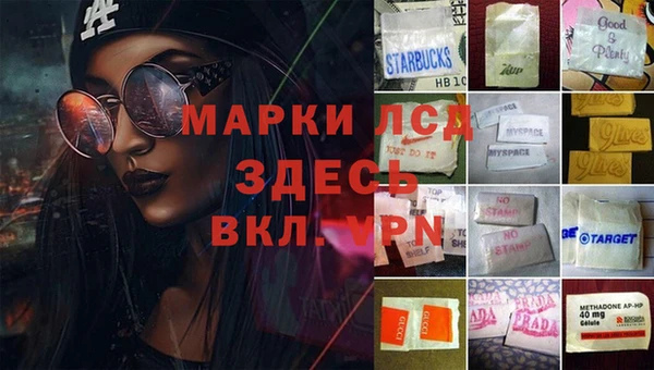 spice Богородск