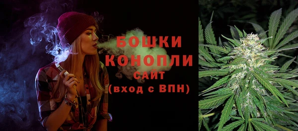 ECSTASY Богородицк